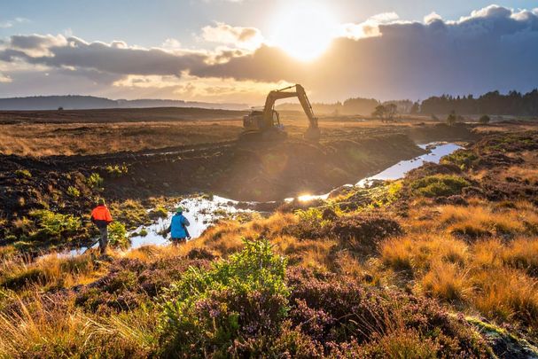 Renaturierung Pochinger Moos: Zwei BN-Aktive beobachten einen Bagger bei Arbeiten zur Wiedervernässung. (Foto: Firefly)